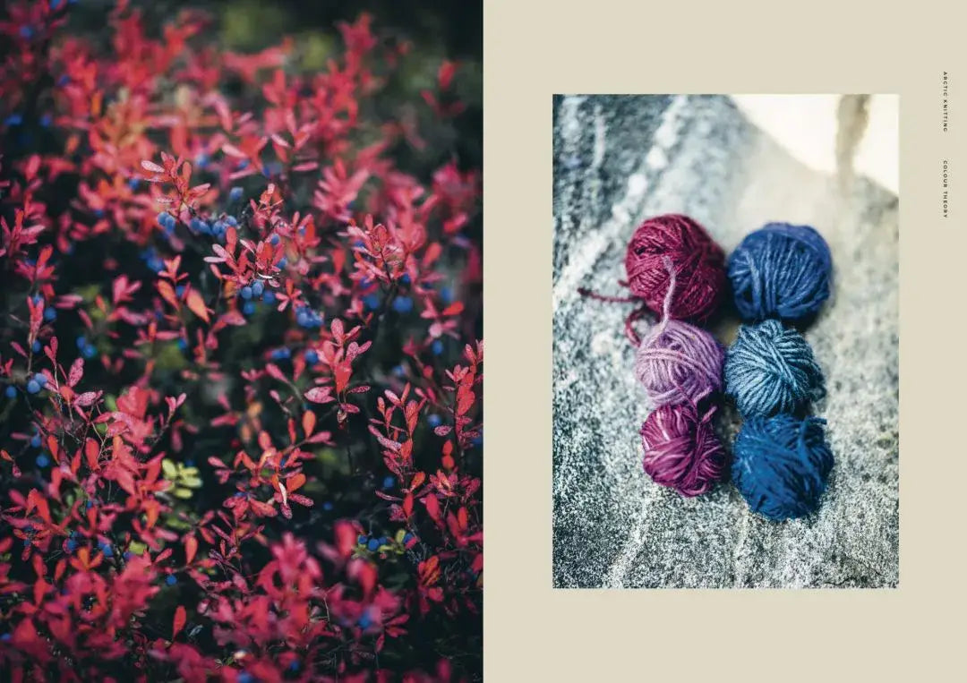 Arctic Knitting – Engels