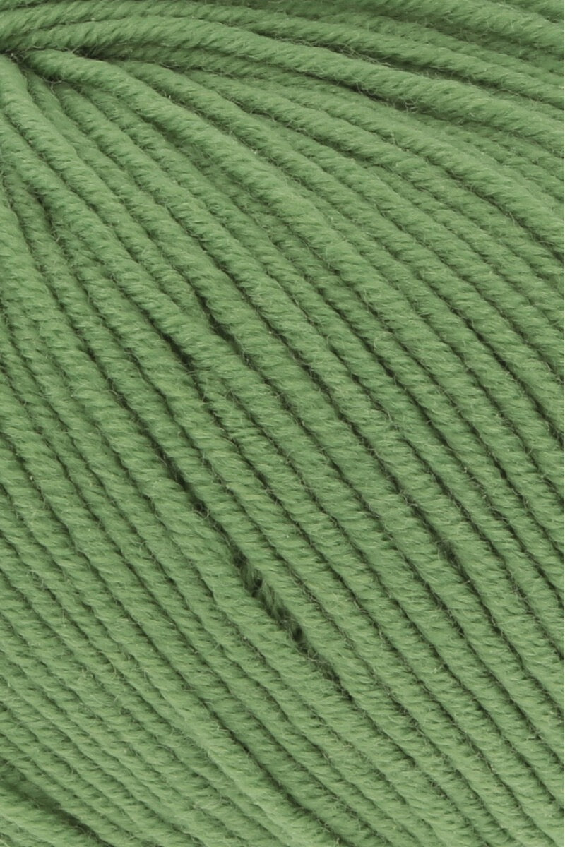 Lang Yarns - Merino 120 - fern - 34.0418