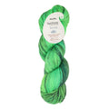 Symfonie Yarns - Terra - Variegated - jungle secrets - VR2028