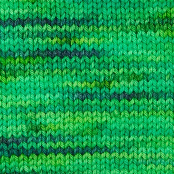 Symfonie Yarns - Terra - Variegated - jungle secrets - VR2028